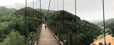 [여행] 숲길 걷고 별 보며 힐링...좌구산자연휴양림