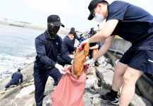 평택 해군 2함대, 깨끗한 바다 만들기 동참