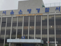 식당에 승용차 돌진…11명 부상
