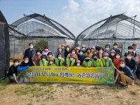 농협부천시지부 영농철 일손부족 해소를 위해 부녀회와 앞장