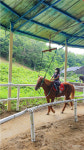 예산서 여름방학 학생 승마체험