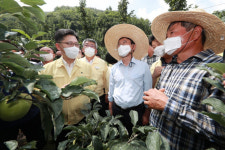 김현수 농림축산부장관, 경북 예천 사과농가 현장 점검
