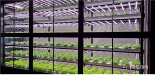 부산 농업기술센터 수직농장 레일팜 기술 보급에 힘쓴다