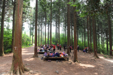 장성, 축령산 숲배움터 국가균형발전위 우수사업 선정