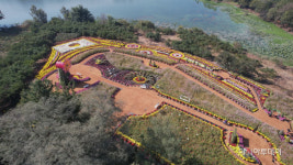 첫 개방한 익산 신흥저수지 국화·코스모스·핑크뮬리 만발