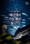[카드뉴스] “내가 제일 빨라” 세상에서 가장 빠른 물고기