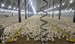 상주시, 축사 공기정화 시설 설치로 양계 질병 발생 감소