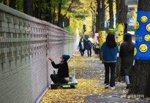 [포토] 주민들이 함께 만드는 아름다운 가로수길