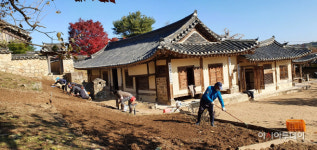 예산 추사고택, 추사가 사랑한 수선화 꽃밭 조성