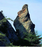 전북도, 임실 장제무림, 군산 장자 할매바위 2개소 신규 지정