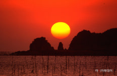 당진시, 해넘이·해돋이 명소 왜목마을 임시 폐쇄