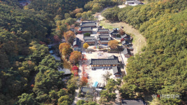 [특집] 영천 9경 산길·바람길·눈꽃길...어디서든 필 충만 인생샷