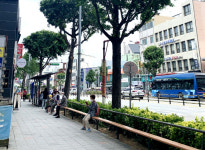 아산시, 가로수·띠녹지 가로환경 정비사업 확대 추진