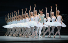 베를린필·빈국립발레단…영상으로 만나는 해외 유명 공연들