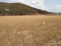 충남도, 동계 사료작물 봄철 생육 관리 중요