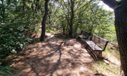 개인 땅 사서 시민 품으로 서울시, 공원 사유지 매입해 등산로·쉼터 제공