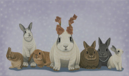 [투데이갤러리]정성원의 Antic and rabbits