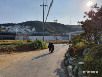 용인시, 광교산 개발제한구역 불법행위 단속