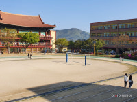 보령 대천동대초, 월 20만보 걷기 챌린지 도전