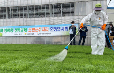 전남농기원, 벼 모판 병해충 방제...관주처리 한번으로 끝