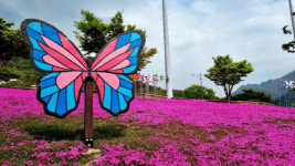 문경자연생태박물관, 가정의 달 생태문화체험행사 진행