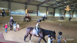 이천 설성초, 승마체험으로 꿈과 끼를 키워요