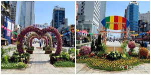해운대구는 20~22일 구남로와 해운대해수욕장 일원 화훼농가 돕기 봄꽃 축제