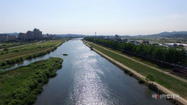 사계절이 특별한 아산 곡교천 은행나무길…전국 아름다운 10대 가로수길