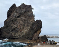 [포토] 얼굴 날아간 울릉도 거북바위