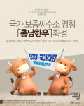 충남도, 농가에 충남한우 정액 공급 시작