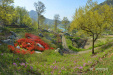 순창군, 용궐산 자연휴양림 개장