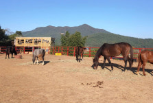 전남농기원, 여름휴가 전남의 농촌교육농장으로 오세요