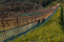 6·15 남측위, 정전협정체결 69주년 성명 발표…“적대와 대결 멈추고 한반도 전쟁 끝내야”