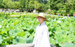 [인터뷰] 탄현스님 남양주 봉선사 템플스테이, 쉼·자연 있다