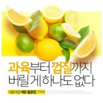 [리스티클] ‘과육부터 껍질까지 버릴 게 하나도 없다’... 레몬 활용법 7가지