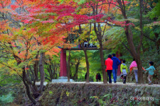 순창군, 강천산군립공원 추석 연휴 무료개방