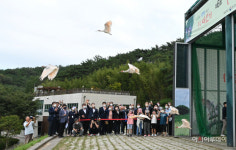 가을 하늘로 비상하는 우포따오기...야생방사행사 개최