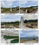 서울시, 전국 최초 치유농업센터 상일동에 개장