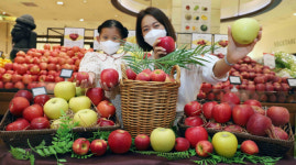 [포토] 신세계百 다양한 가을 사과 맛보러 오세요