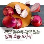 [리스티클] 까면 깔수록 매력 있는 ‘양파 효능 6가지’