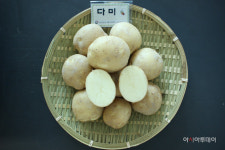 충남농기원, 맛있고 병해에 강한 감자 다미 분양