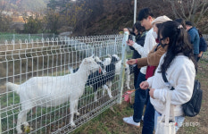 청양군, 사회적경제 청춘 힐링 투어 프로그램 호응