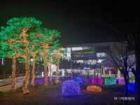 충남도서관, 연말연시 야간 포토존 운영
