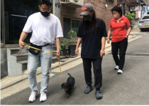 구민 5명 중 1명은 반려인 중구, 동물 사업 추진