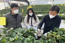 전남농업기술원, 농가 경영 개선·경쟁력 제고 10억여 원 지원