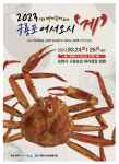 포항시, 구룡포 대게 축제! 구룡포로 어서오시게 개최