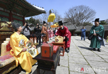 [포토] 왕에게 보성차 진상하는 김철우 보성군수