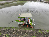 [포토] 보성 한 해 농사 시작 ‘첫 모내기’ 실시