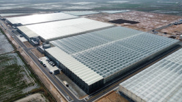 고흥 스마트팜 혁신밸리, 청년농 육성 핵심시설 우뚝