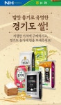 경기 지역 쌀 농가 구원투수 ‘경기도주식회사’... “작년에 이어 올해도 등판”